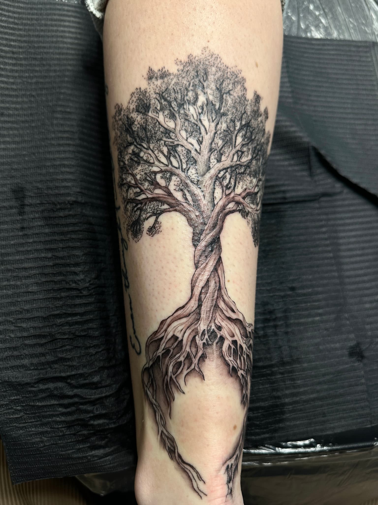 Tree of Life